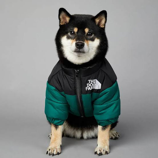 The Dog Fans Winter Dog Jacket